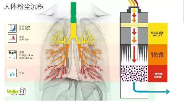 ���w�ۉm���e